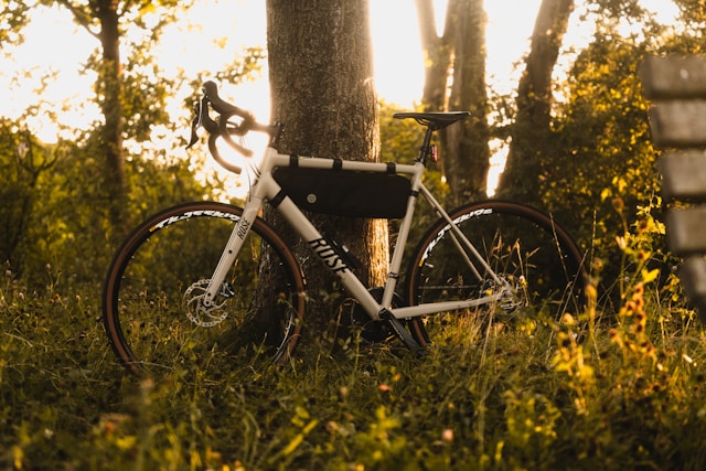 Mountain bike