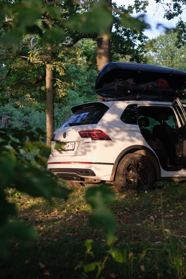 Roof box
